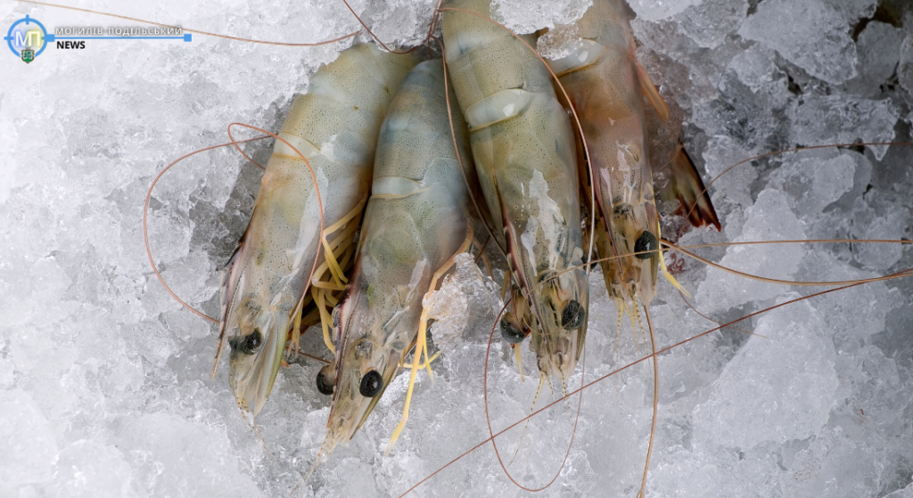 Белые креветки